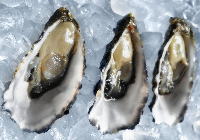 �����C���[�W