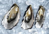 �������߃C���[�W